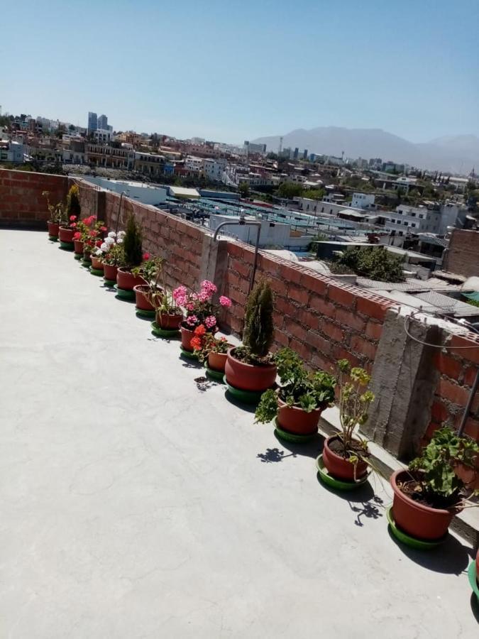 Honey House Bed & Breakfast Arequipa Dış mekan fotoğraf